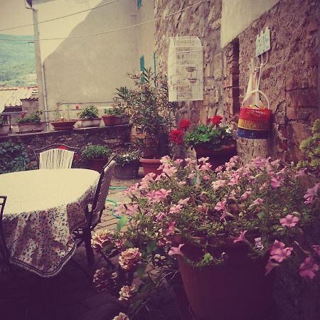 Dimora Toscana Apartamento Seggiano Exterior foto