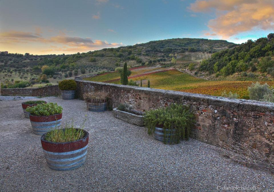 Dimora Toscana Apartamento Seggiano Exterior foto